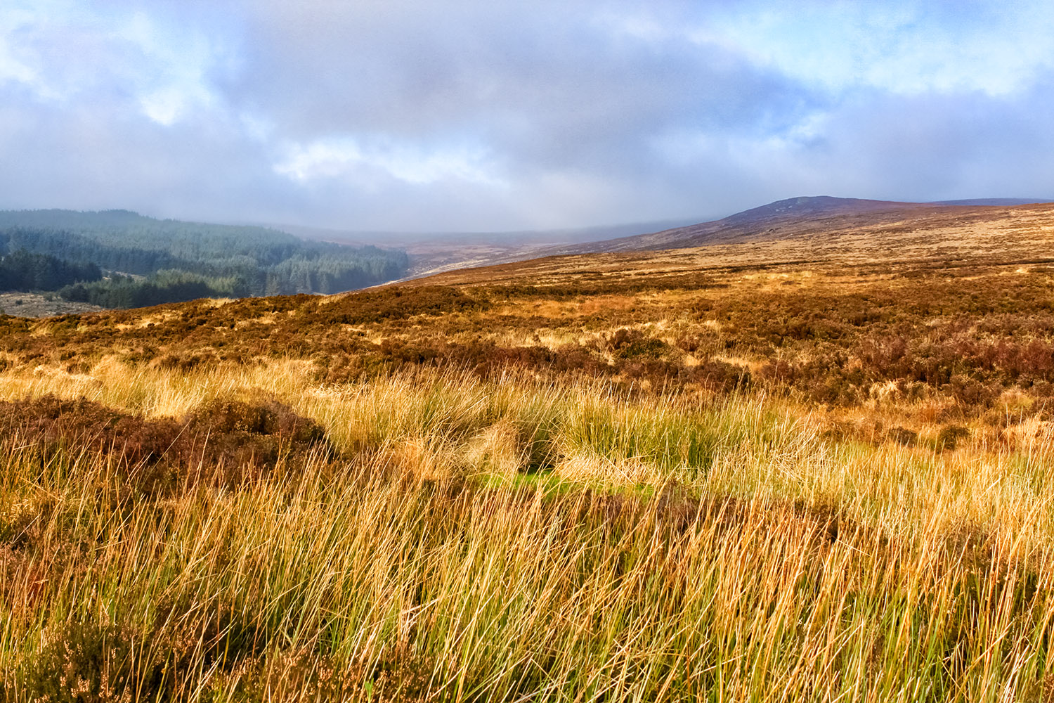 果てしない荒野が続くアイルランドの山岳地帯