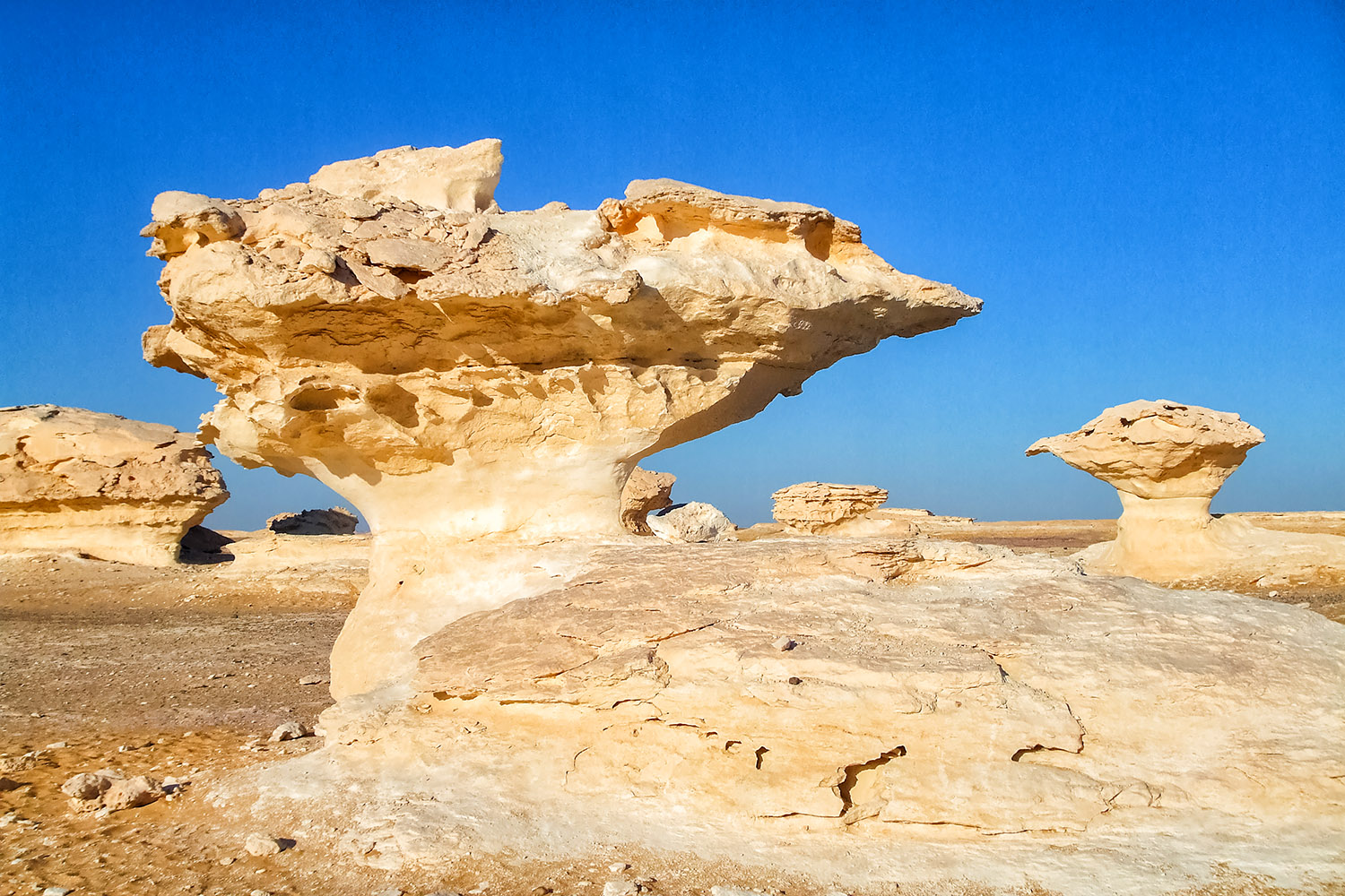 バフレイヤの地に立ち並ぶ白砂漠の不思議な岩