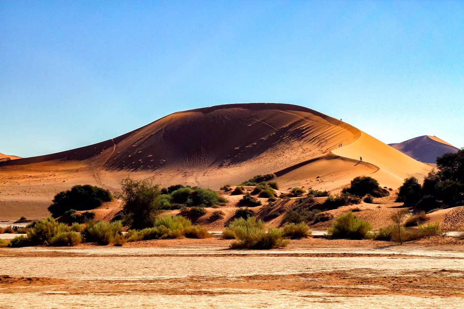 世界遺産ナミブ砂漠に出来た自然の砂山