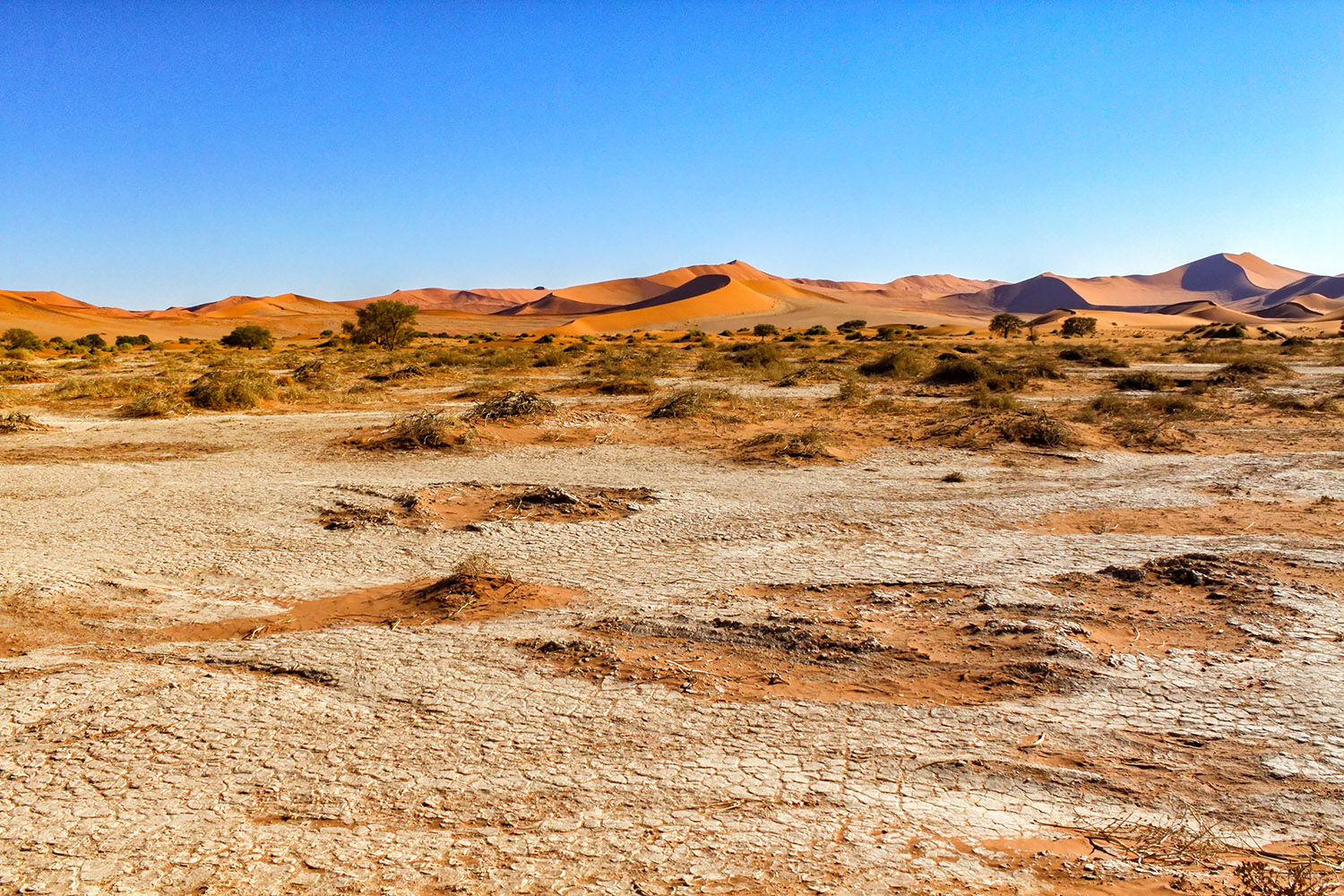 世界最古の砂漠！ナミビアのナミブ砂漠