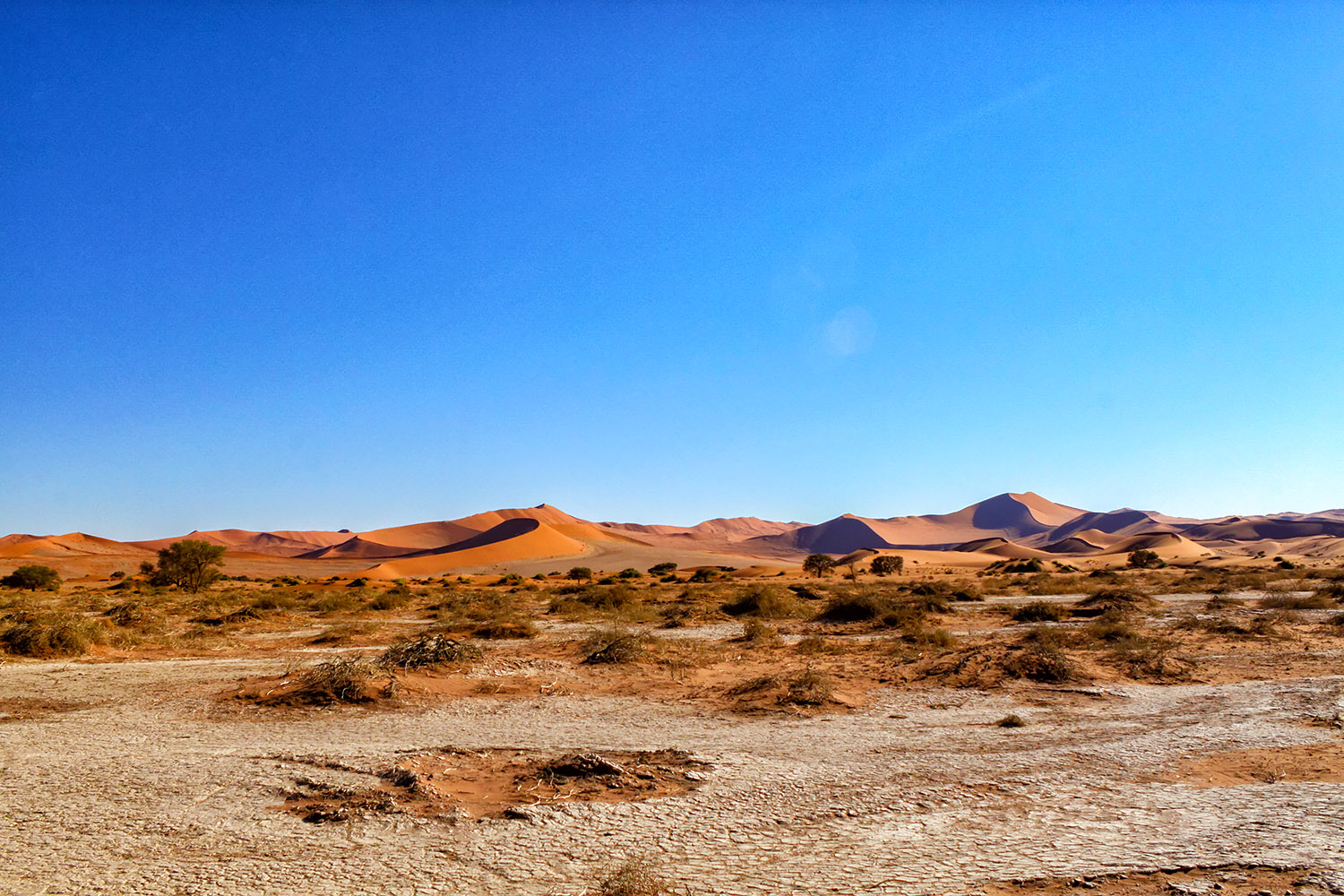 ナミブ砂漠の大地と青い空