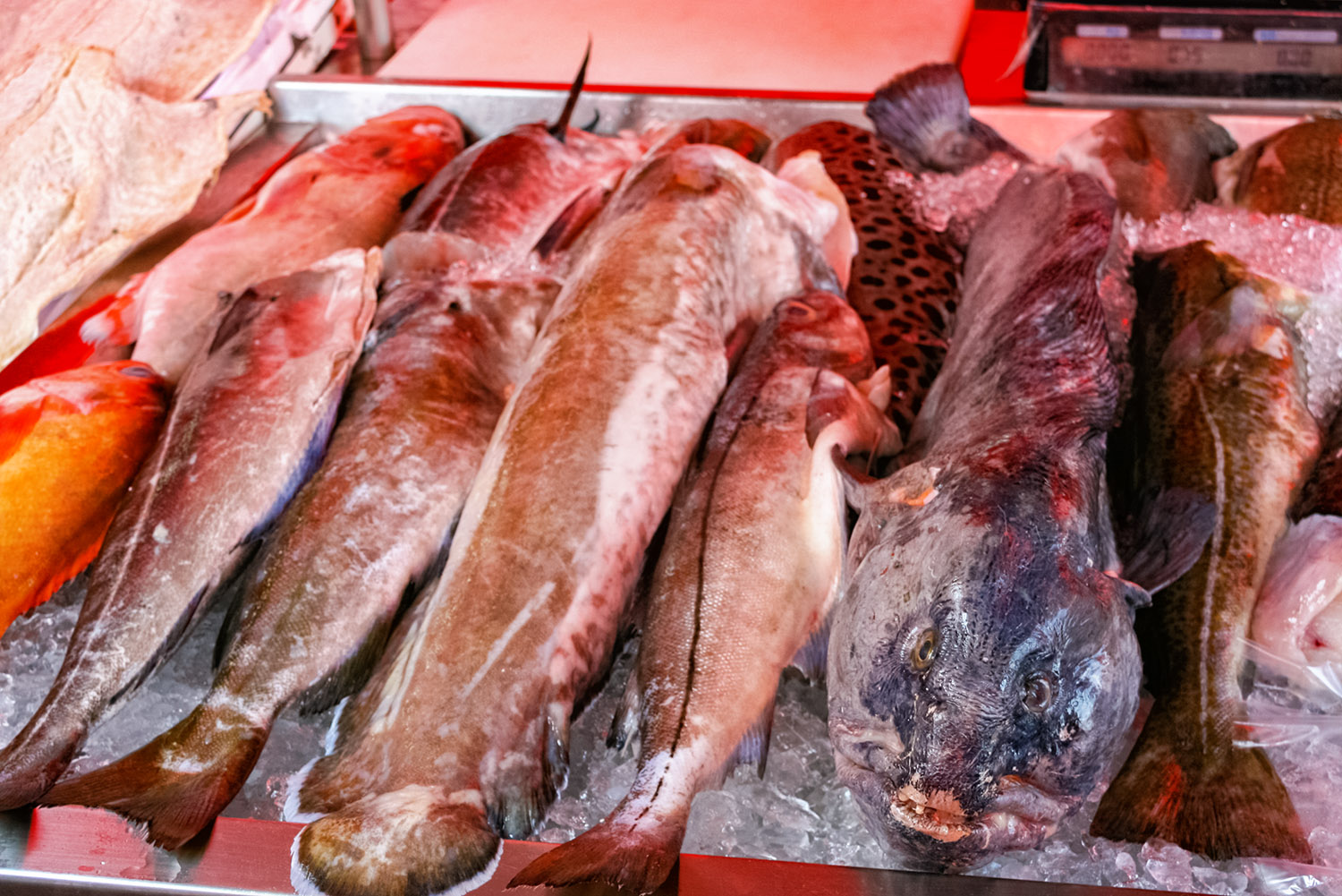 ノルウェーの港町ベルゲンの魚市場