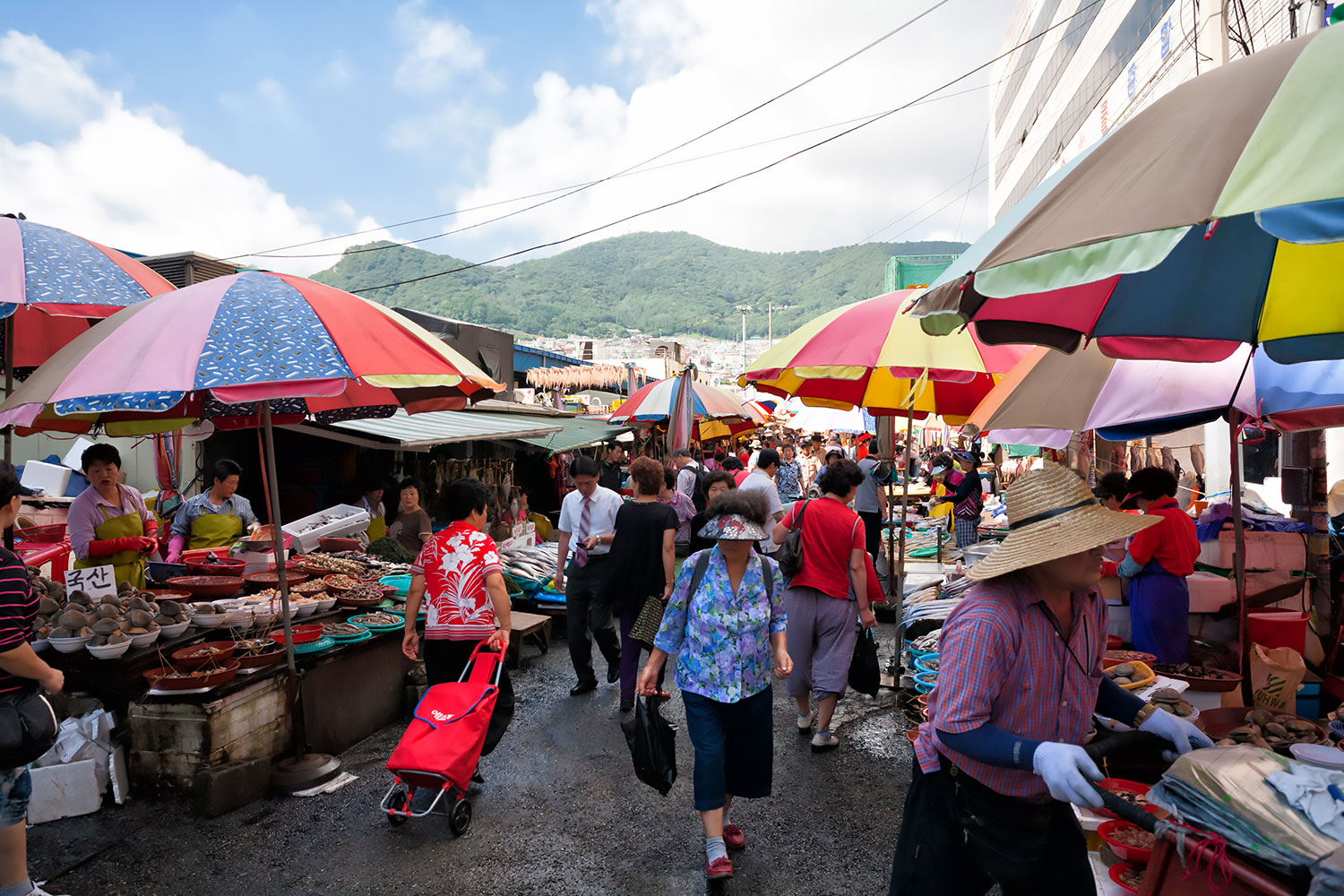 海産物のデパート！韓国、釜山のチャガルチ市場