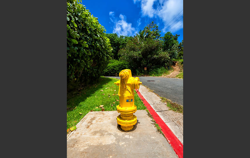 ハワイの青空にはえる黄色の消火栓