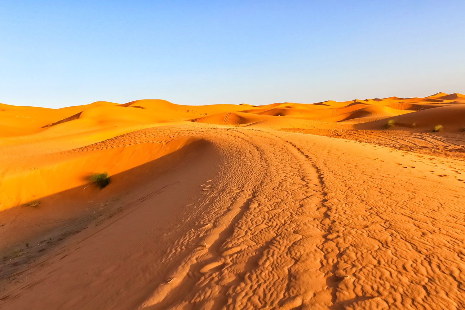 モロッコ・夕焼けに染まるサハラ砂漠にできた風紋