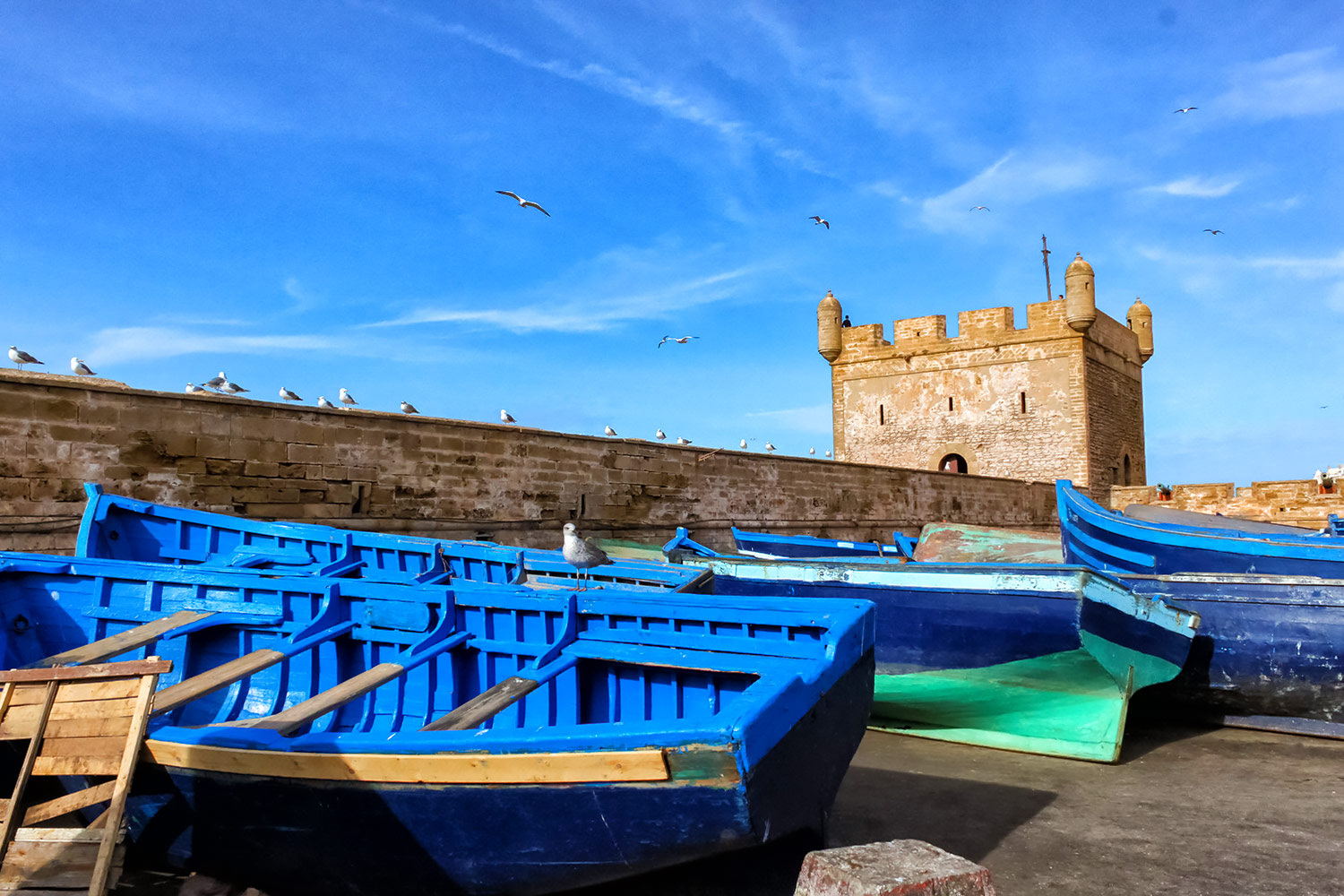 モロッコの世界遺産･エッサウイラ旧市街、ボートのカモメ