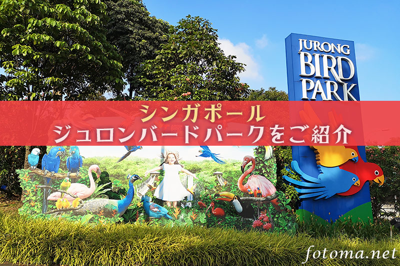 【カラフルな鳥の画像たくさん】ジュロン・バードパークをご紹介！