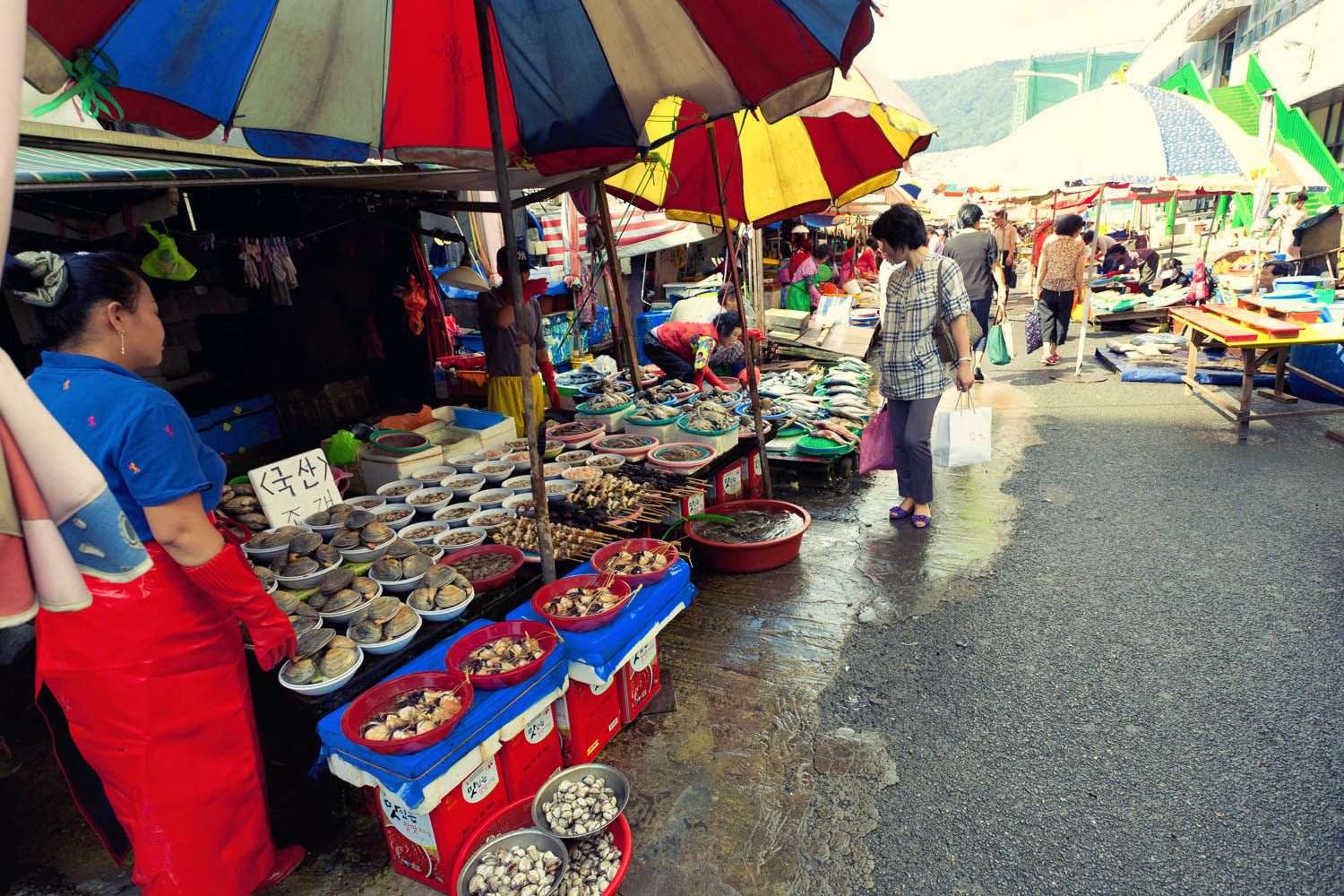 韓国釜山の台所チャガルチ市場の朝