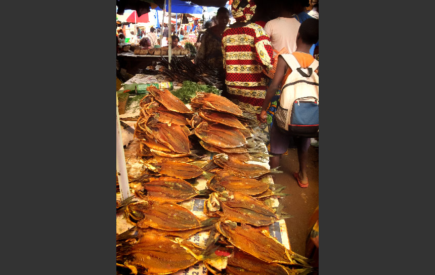 コンゴ共和国ドリシー（Dolisie）市場の海産物