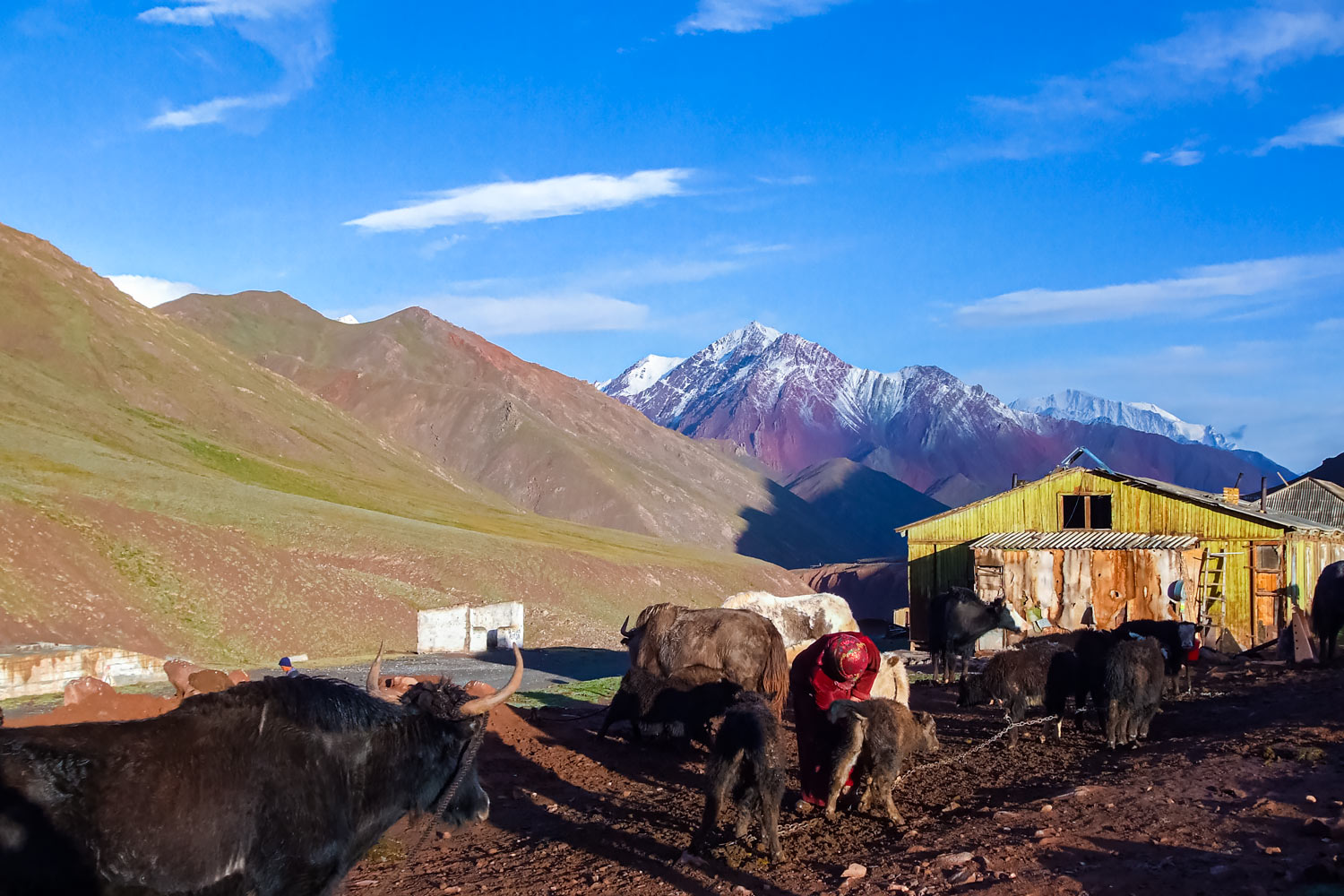 タジキスタンのパミール高原、富士山より高い牧場