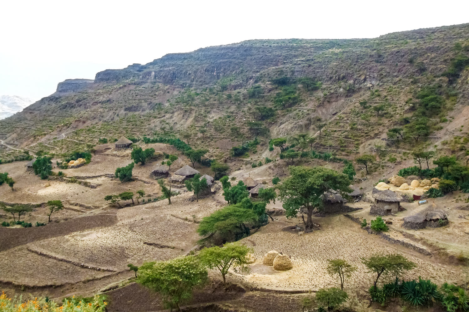 アフリカのだんだん畑、エチオピアのラリベラ郊外